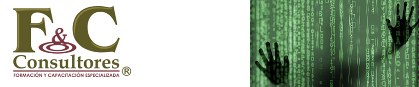F&C CONSULTORES